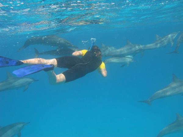 Family swimming with dolphins in the Azores