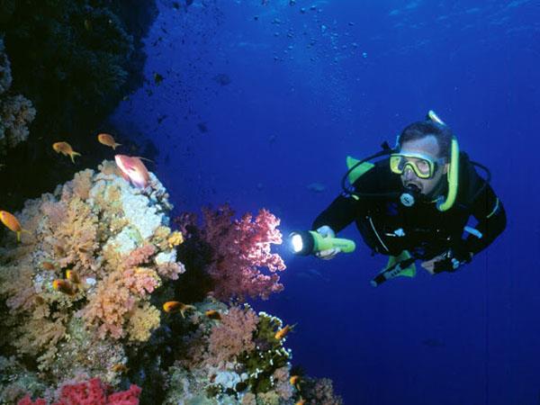 Best of Egypt and Sharm El Sheikh vacation
