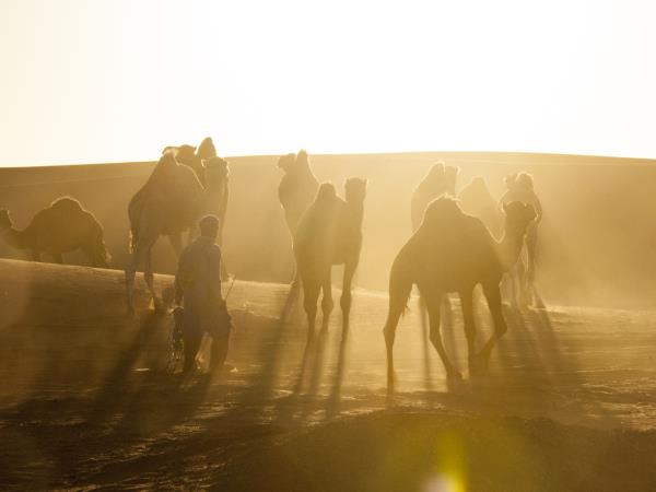 Morocco photography vacation