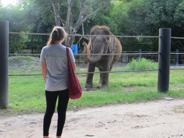 Wildlife rescue volunteering in Thailand, under 18s