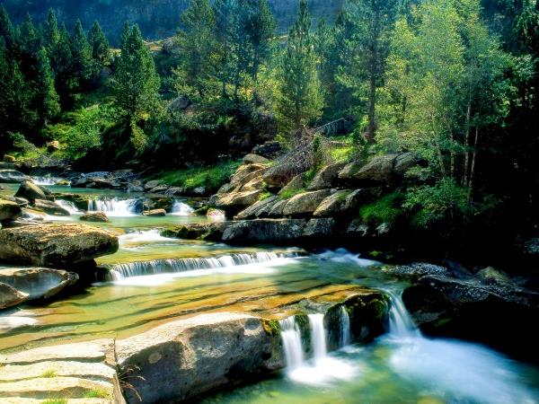 Wildlife and walking vacation in the Spanish Pyrenees