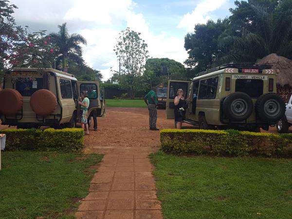 Gorilla and chimpanzee trekking, Uganda