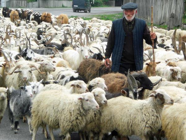Georgia cultural vacation, Georgia Explorer