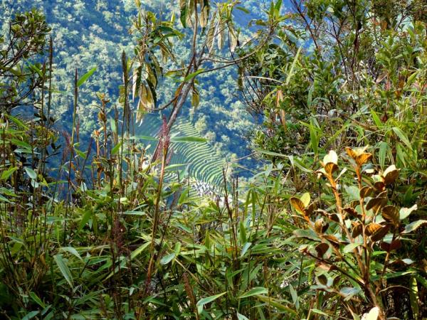 Hiking the Inca Trail