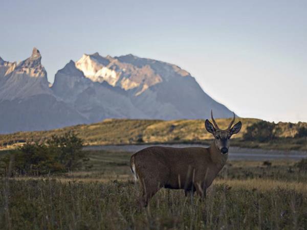 Patagonia luxury adventure vacation