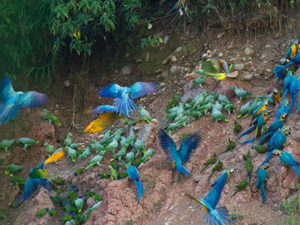 Amazon photography vacation, Peru