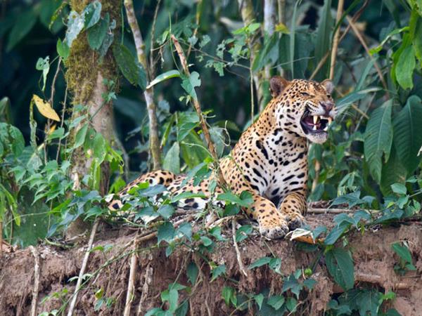 Amazon photography vacation, Peru
