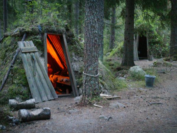 Sweden wildlife holiday, ecolodge vacation