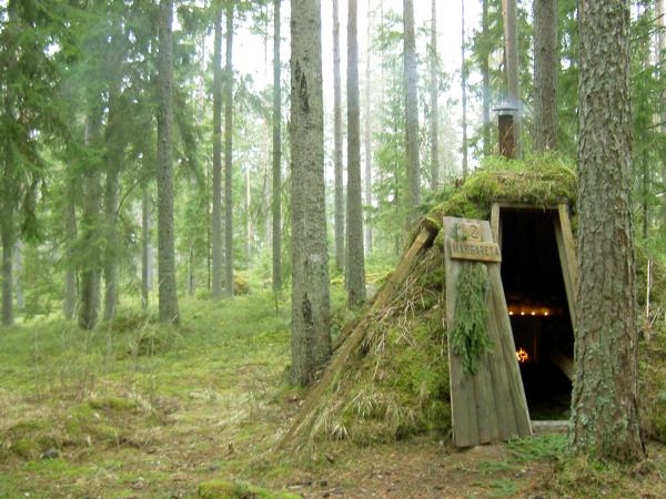 Sweden wildlife holiday, ecolodge vacation
