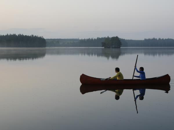 Sweden wildlife holiday, ecolodge vacation