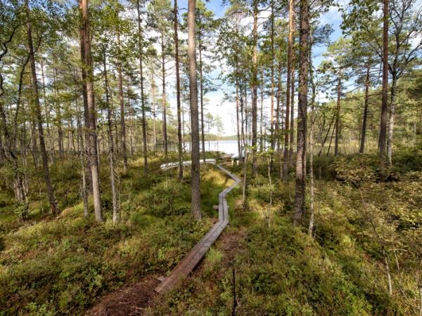 Sweden wildlife holiday, ecolodge vacation