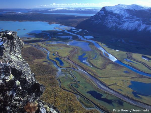 Sweden wildlife vacation, Moose expedition