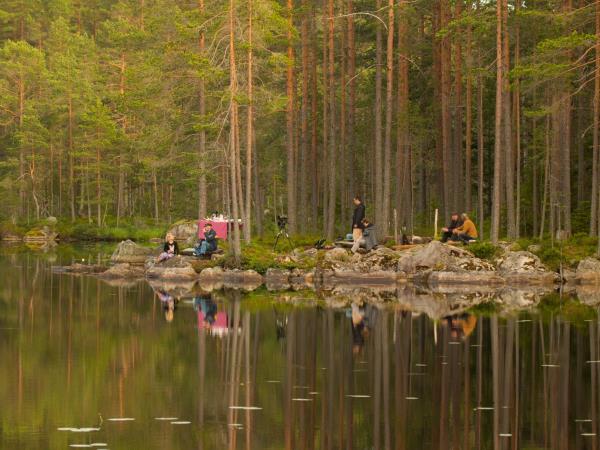 Sweden vacations, Wolves, Moose and Beavers