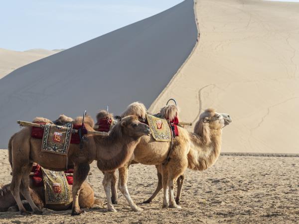 Silk Road tailor made vacation