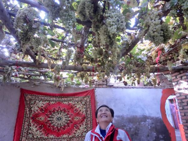 Silk Road tailor made vacation