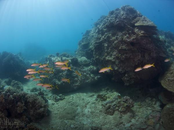 Diving & mountain biking in Vietnam