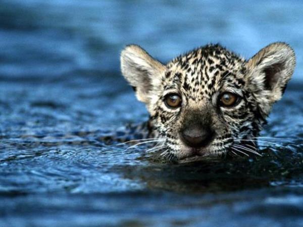 Guyana nature experience, small group vacation