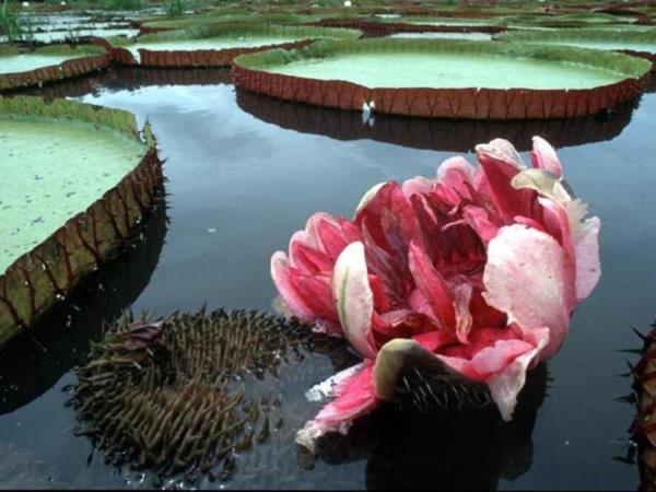 Guyana nature experience, small group vacation