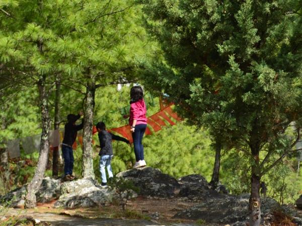 Bhutan cultural vacation
