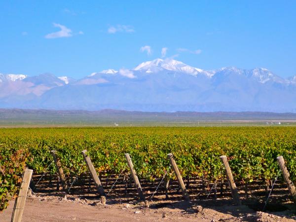 Mendoza wine tour in Argentina