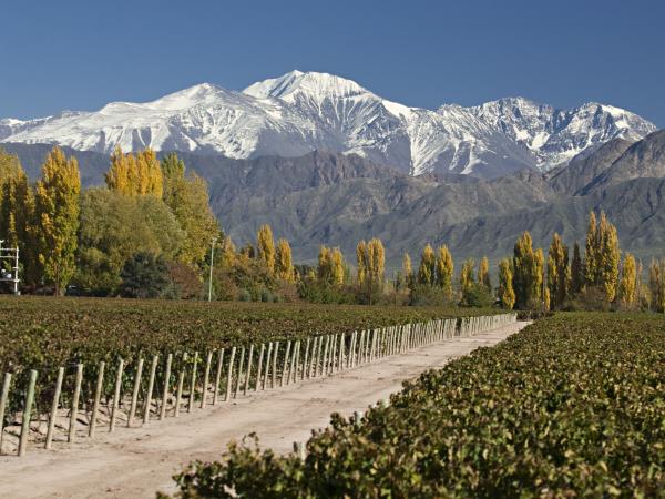 Mendoza wine tour in Argentina