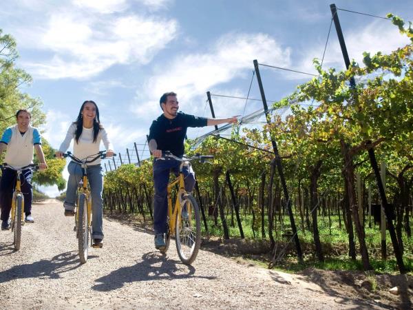 Mendoza wine tour in Argentina