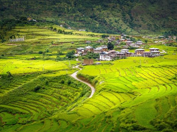 Bhutan trekking tour