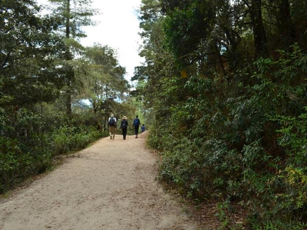 Bhutan trekking tour