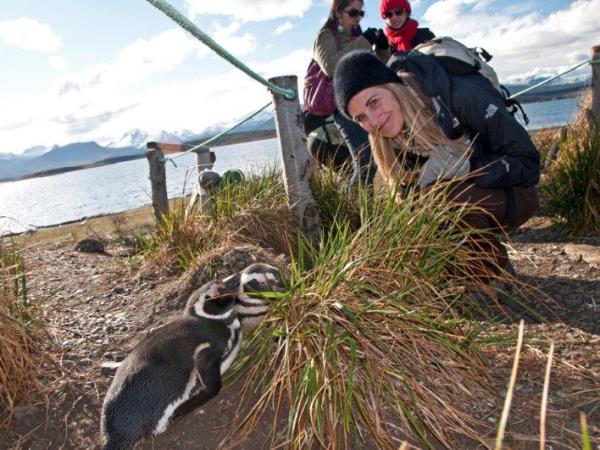 Peninsula Valdes whale watching tour in Argentina