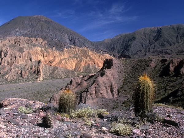Argentina tour, Salta and Jujuy