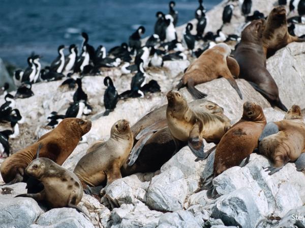 Ushuaia activity tour, Argentina