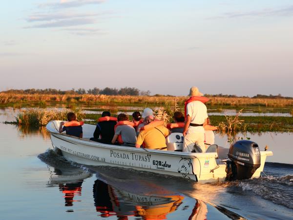 Argentina vacation, Ibera Wetlands & Iguazu Falls