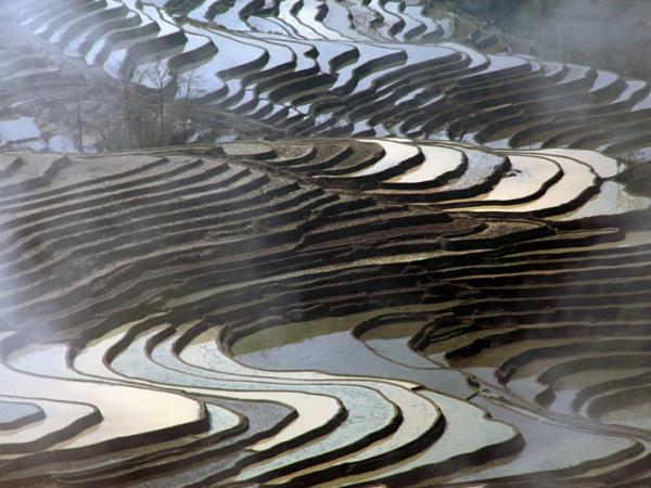 Photography vacation in Tibet & Yunnan, China