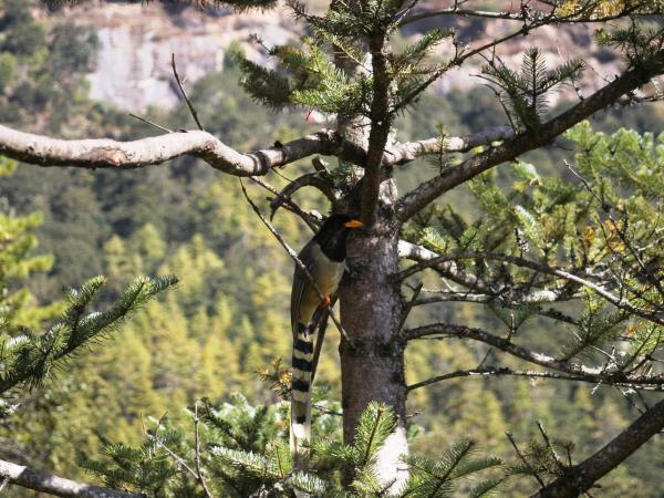 Bhutan multi activity vacation