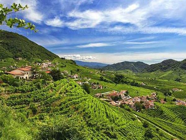 Prosecco Hills walking holiday, Italy