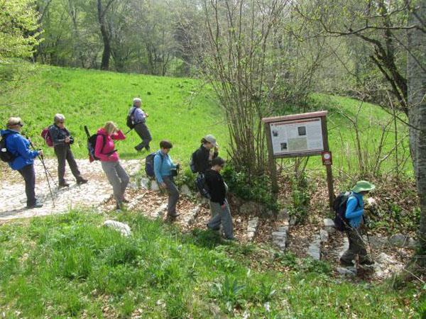 Prosecco Hills walking holiday, Italy