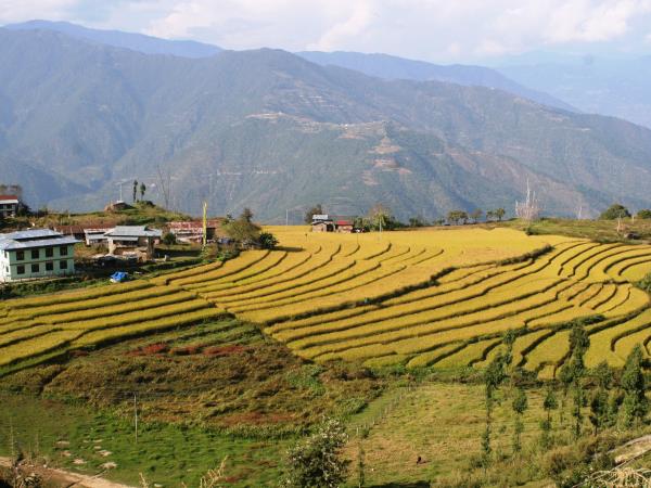 Western Bhutan walking vacation