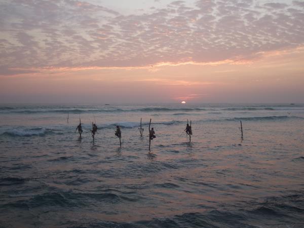 Complete tour of Sri Lanka, tailor made