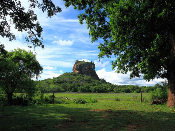 Complete tour of Sri Lanka, tailor made