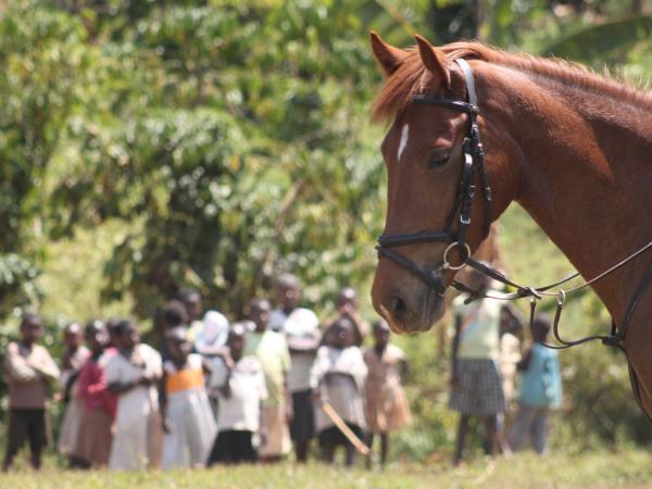 Horse riding safari in Uganda