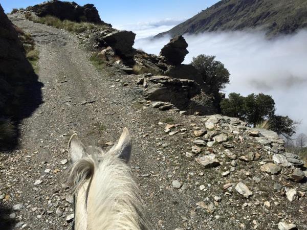 Horse riding holiday in Sierra Nevada Mountains, Spain