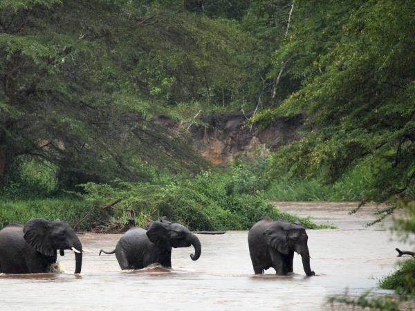 Highlights of Uganda safari vacation