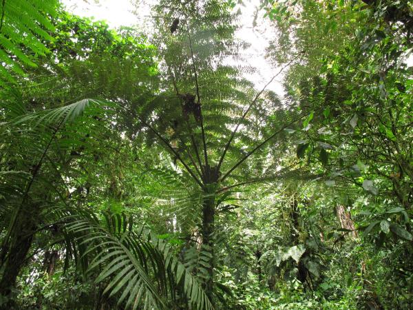 Ecuador activity vacation