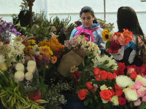 Ecuador small group tour