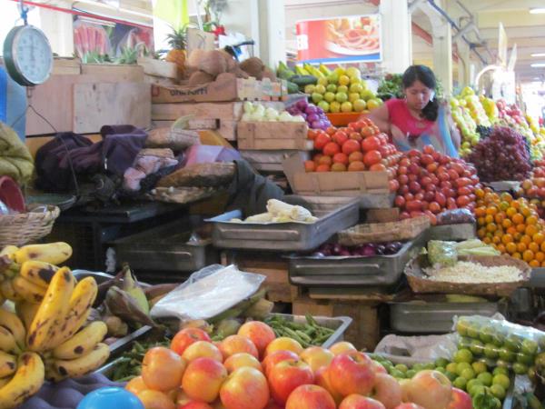 Ecuador small group tour