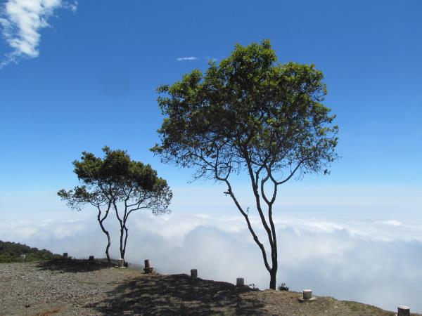 Ecuador small group tour