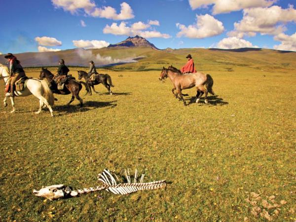 Horse riding in Ecuador
