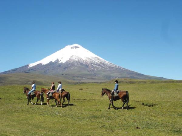 Horse riding in Ecuador