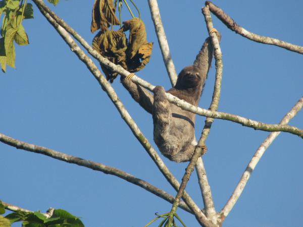 Kapawi Eco Lodge in Ecuador