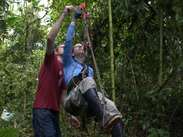 Maquipucuna cloud forest lodge, Ecuador